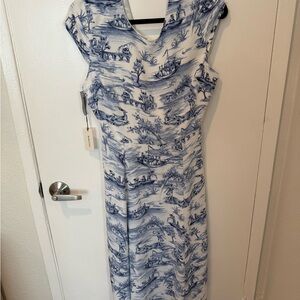 Aritzia Babaton Dress